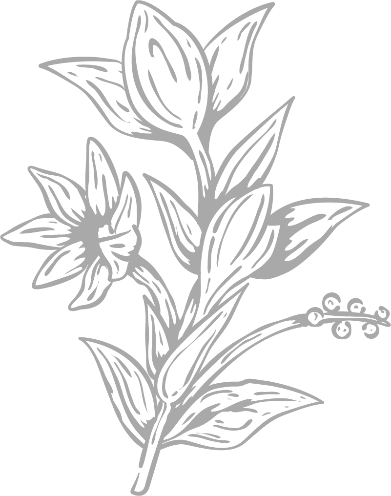 dct-et-illus-img-3