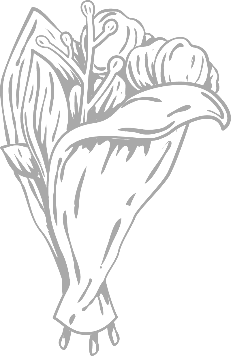 dct-et-illus-img-6